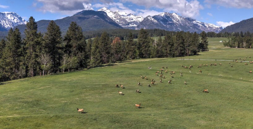 Running Elk Ranch