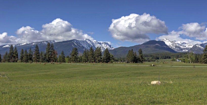 Running Elk Ranch